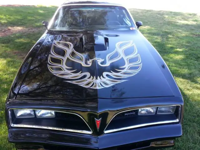 1978 Pontiac Trans Am Trans am, Firebird T/A