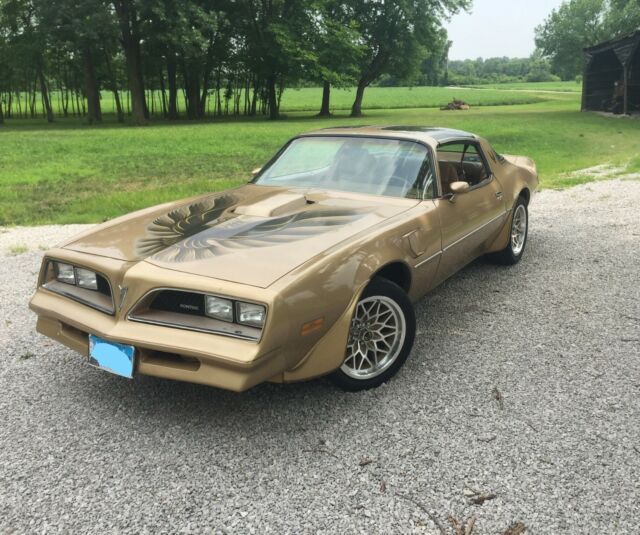 1978 Pontiac Trans Am Gold Edition Y88