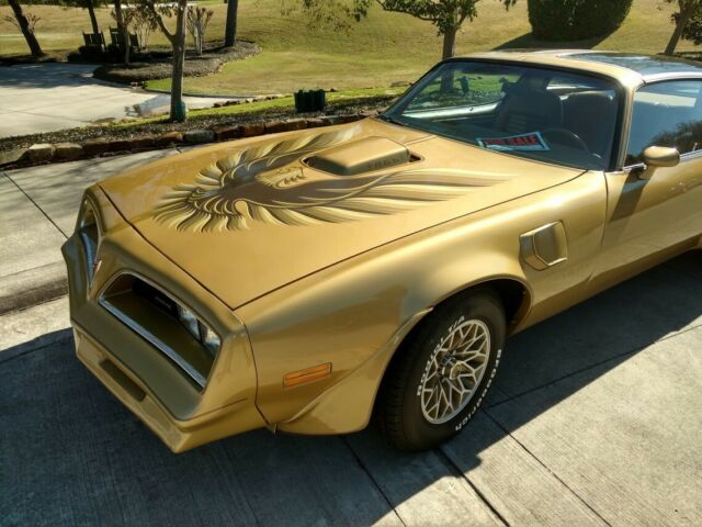1978 Pontiac Trans Am Special Gold Y88 Special Edition Trans Am For Sale