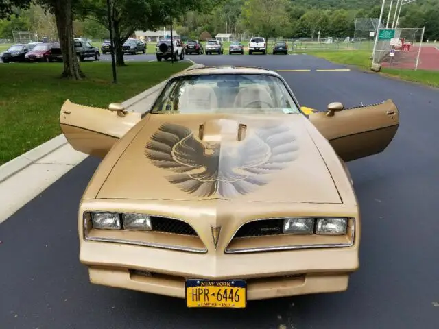 1978 Pontiac Trans Am Firebird