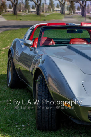 19780000 Chevrolet Corvette