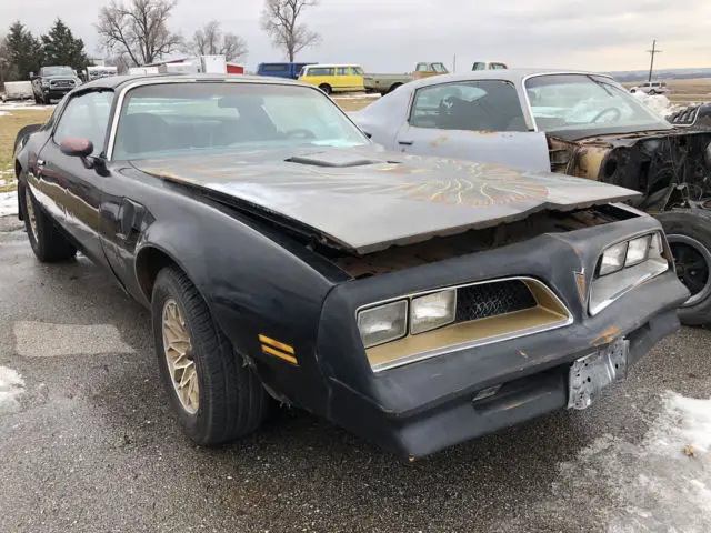 1978 Pontiac Trans Am Black SE, No Res - Auto, PHS, T-Tops, AC, Loaded