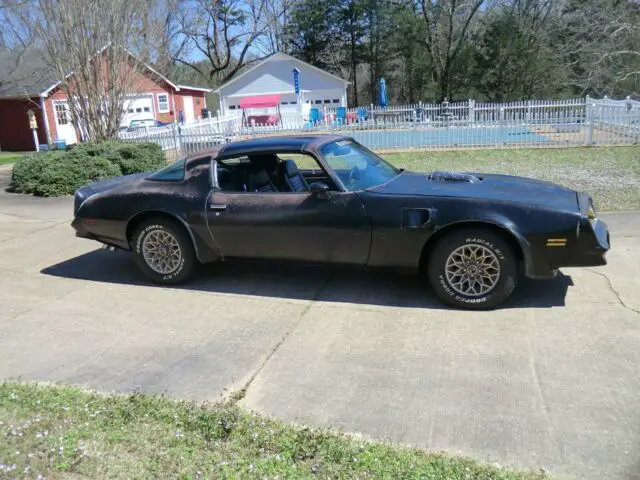 1978 Pontiac Trans Am Special Edition Y82