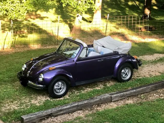 1978 Volkswagen Beetle Super Beetle