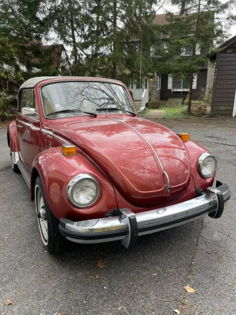 1978 Volkswagen Beetle (Pre-1980) metal