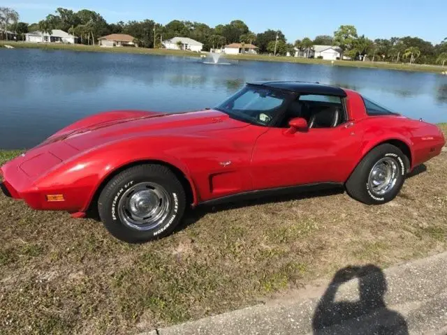 1979 Chevrolet Corvette "Brass Hat" corvette