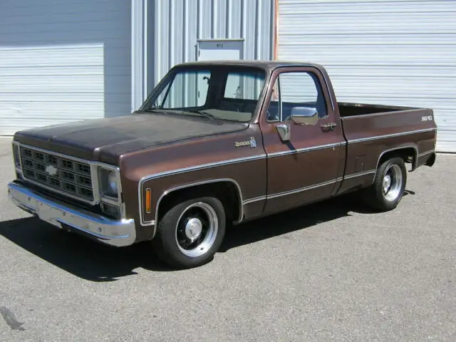 1979 Chevrolet C-10