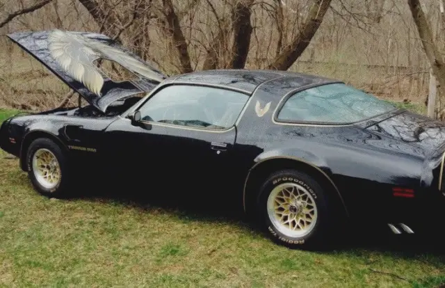 1979 Pontiac Trans Am Special Edition Y84