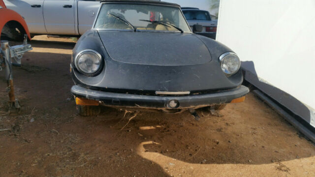 1979 Alfa Romeo Spider