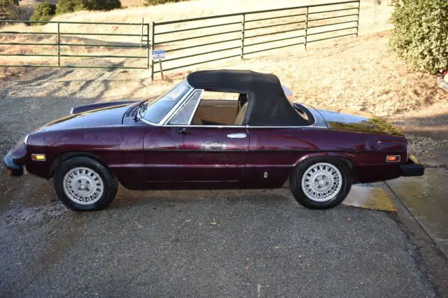 1979 Alfa Romeo Spider 2000 Veloce Convertible Burgundy