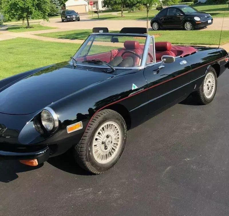 1979 Alfa Romeo Spider