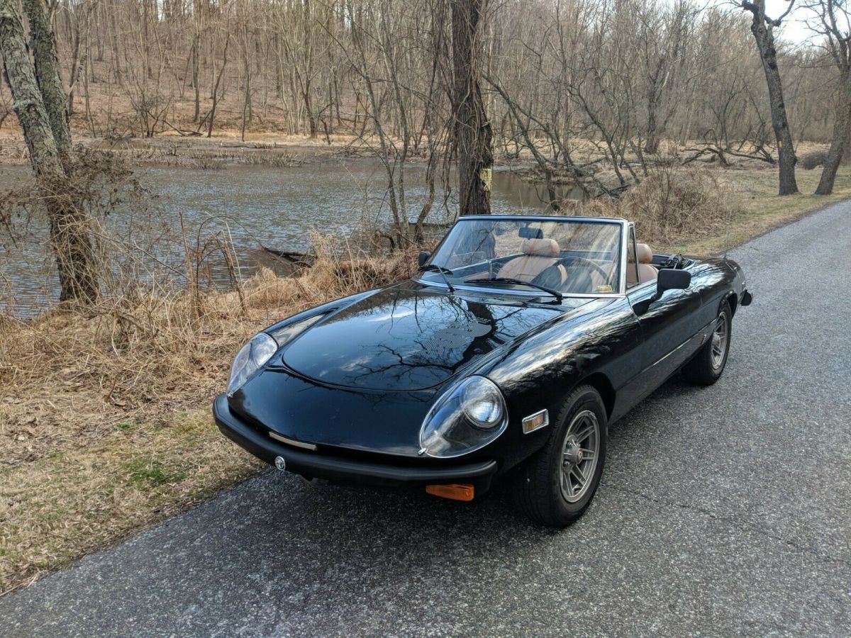 1979 Alfa Romeo Spider