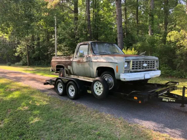 1979 Chevrolet C-10