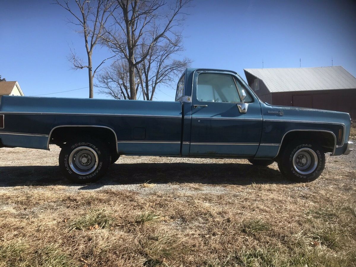 1979 Chevrolet C-10