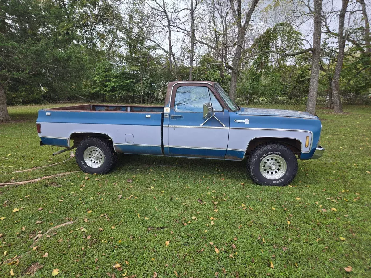 1979 Chevrolet C/K Pickup 1500