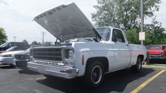 1979 Chevrolet C-10