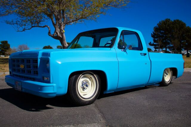 1979 Chevrolet C-10