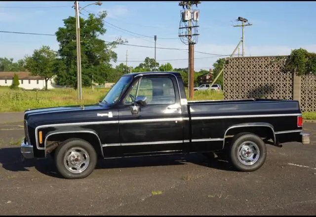 1979 Chevrolet C-10 Silverado