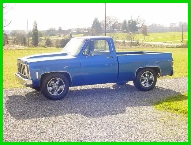 1979 Chevrolet Other Pickups C10 Short-Bed Pickup Truck