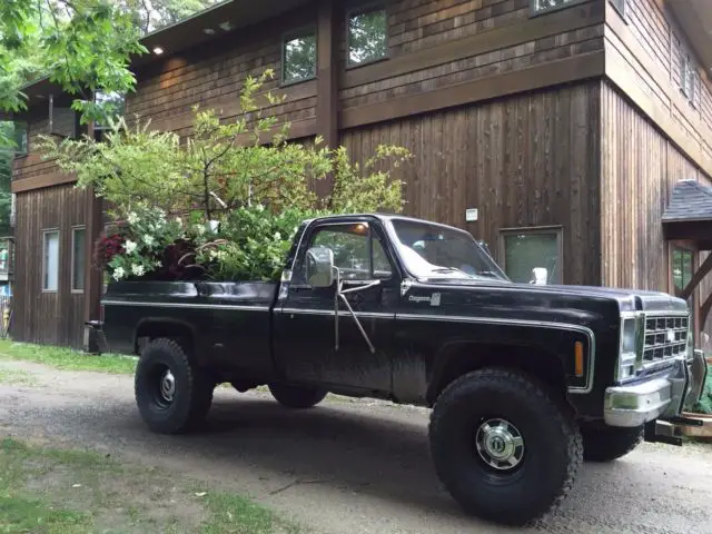 1979 Chevrolet C20 Pickup