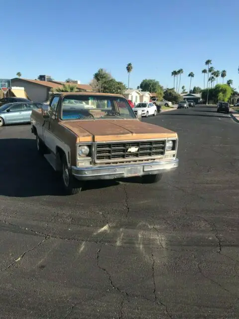 1979 Chevrolet C-10 TAN