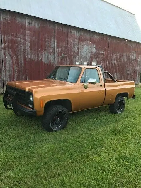 1979 Chevrolet C-10 CUSTOM DELUXE