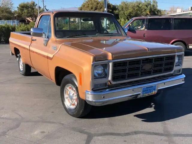 1979 Chevrolet C-10 C10