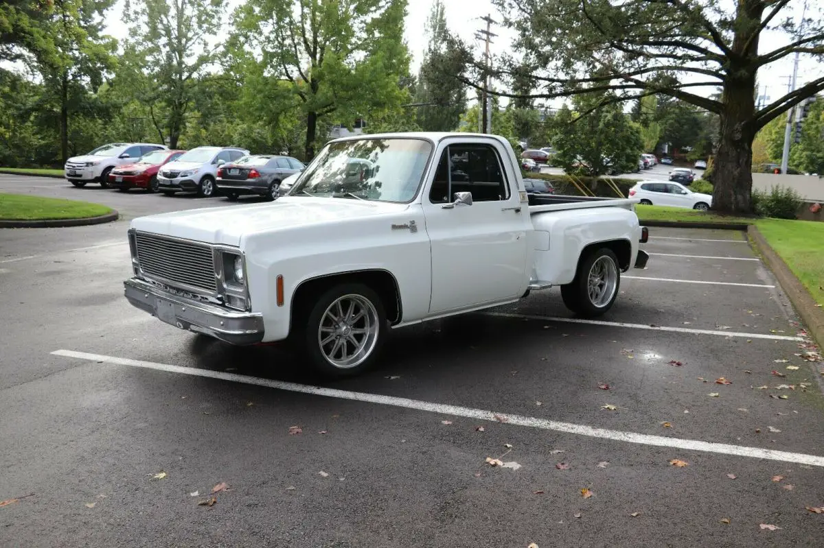 1979 Chevrolet C-10