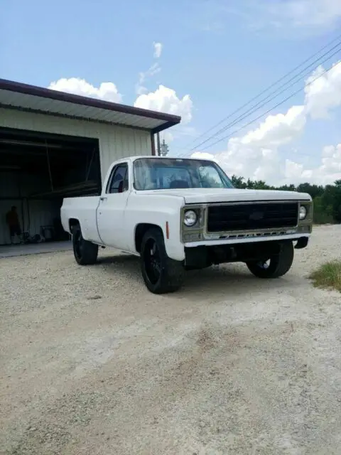 1979 Chevrolet C-10 Scottsdale