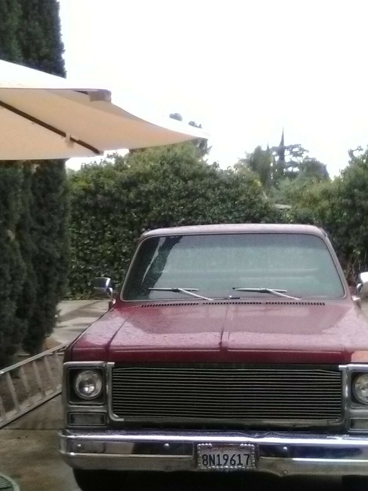 1979 Chevrolet C-10