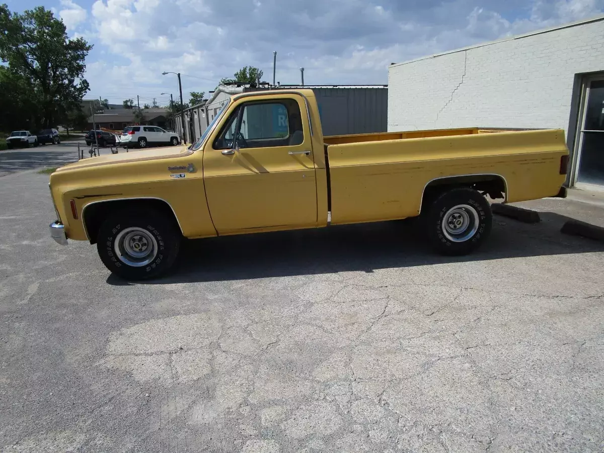 1979 Chevrolet C-10