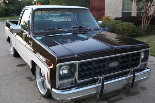 1979 Chevrolet C-10 Silverado