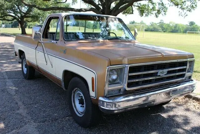 1979 Chevrolet C/K Pickup 2500 Bonanza/Scottsdale