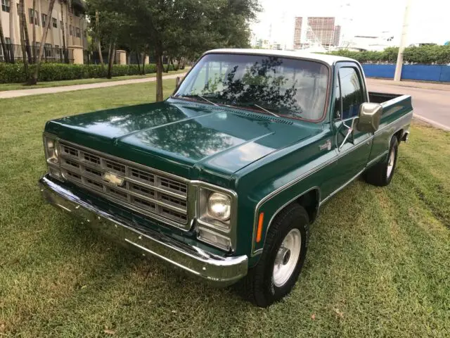 1979 Chevrolet Other Pickups Camper Special