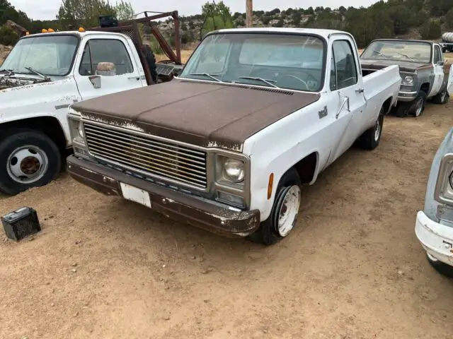 1979 Chevrolet C20/K20