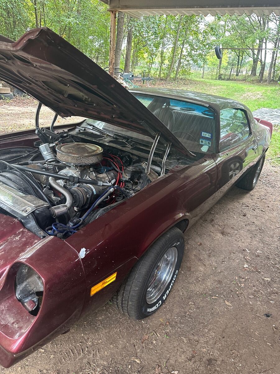 1979 Chevrolet Camaro Berlanetta