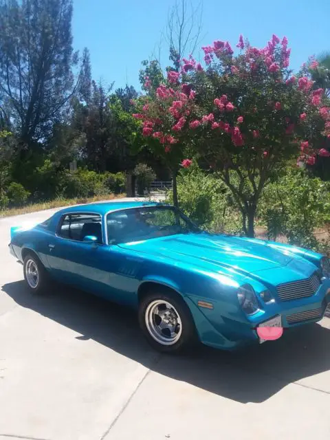 1979 Chevrolet Camaro