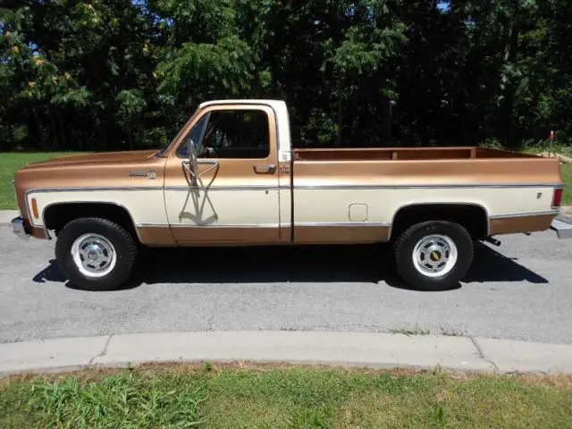 1979 Chevrolet Other Pickups