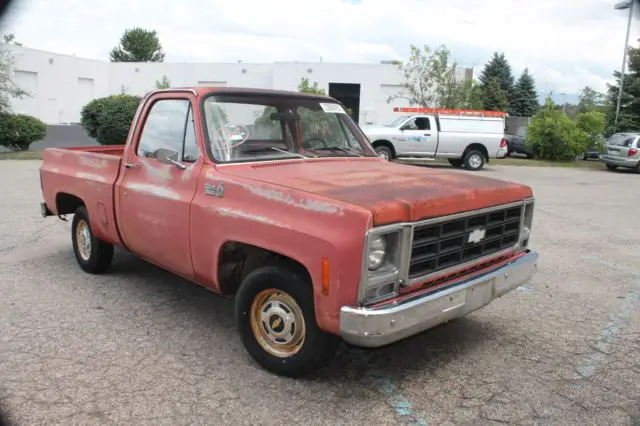 1979 Chevrolet C-10