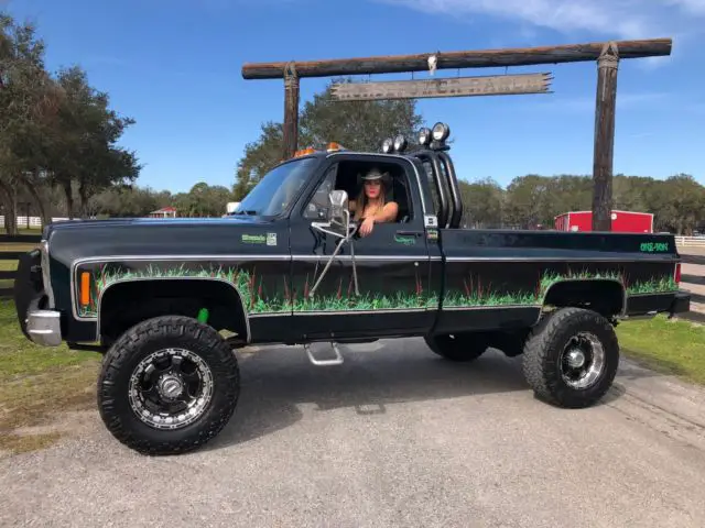 1979 Chevrolet C/K Pickup 3500