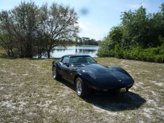 1979 Chevrolet Corvette