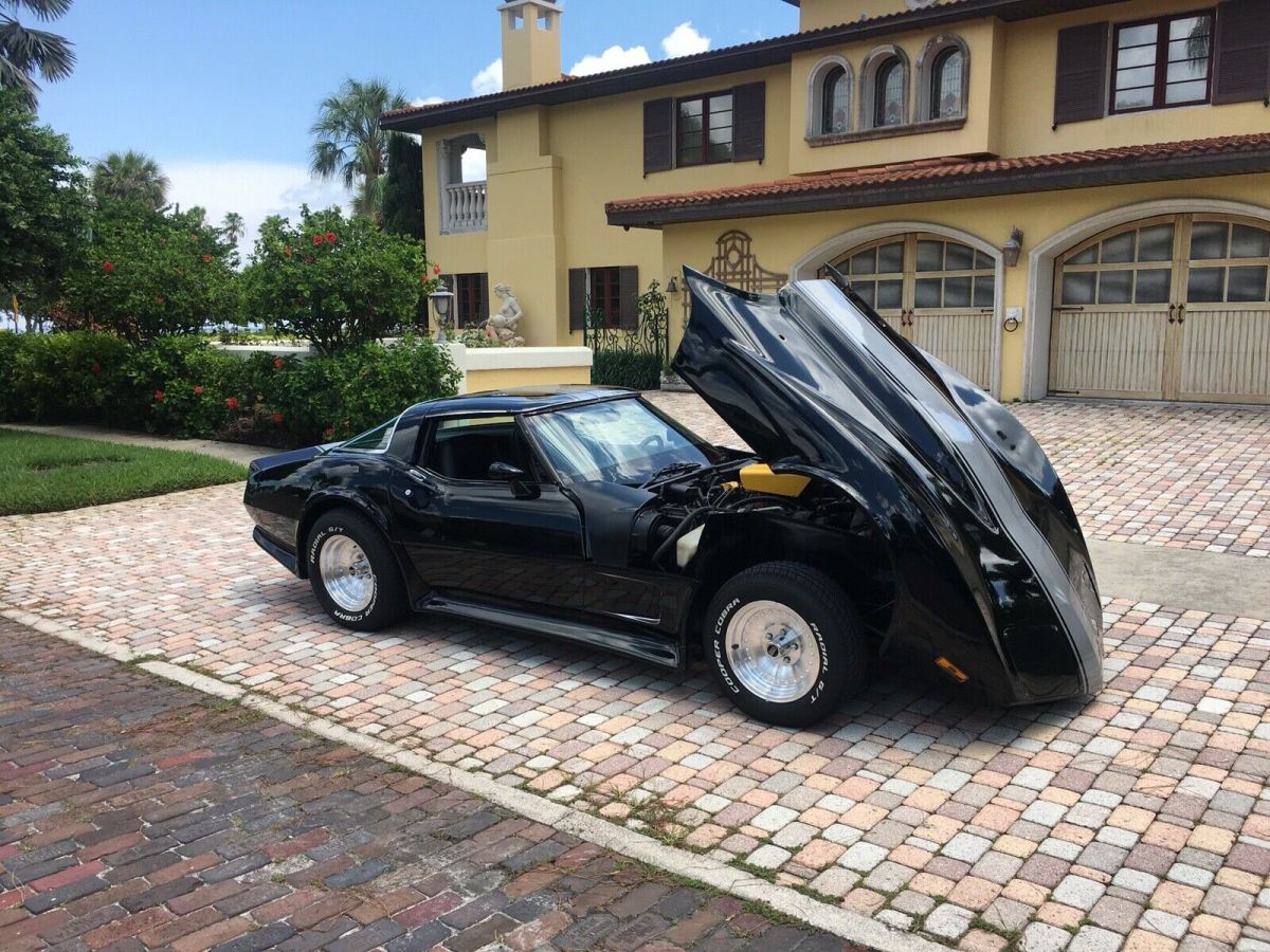 1979 Chevrolet Corvette C3 custom body kit