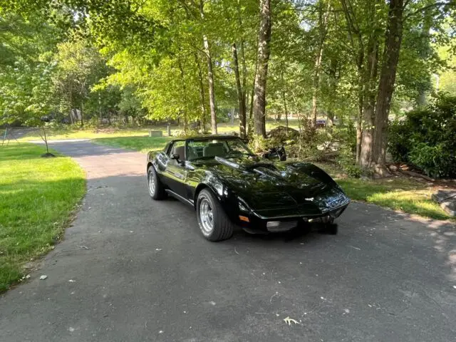 1979 Chevrolet Corvette L48