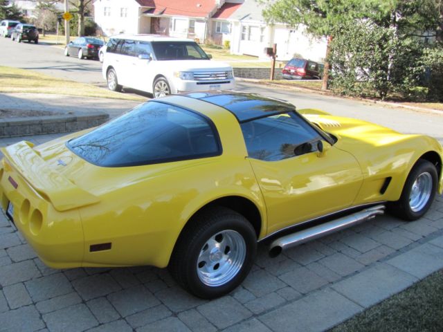 1979 Chevrolet Corvette custom