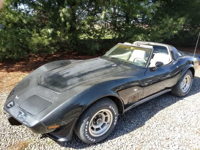 1979 Chevrolet Corvette L82