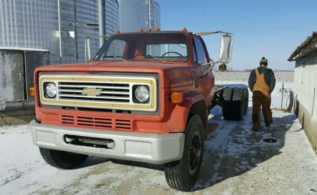 1979 Chevrolet Other Pickups C70