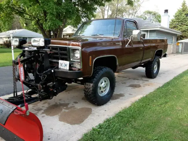 1979 Chevrolet Other Pickups