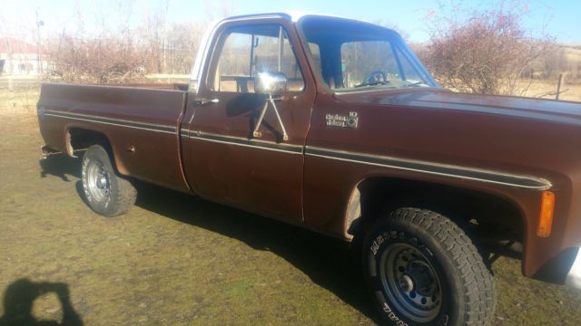 1979 Chevrolet C/K Pickup 1500 Custom Deluxe