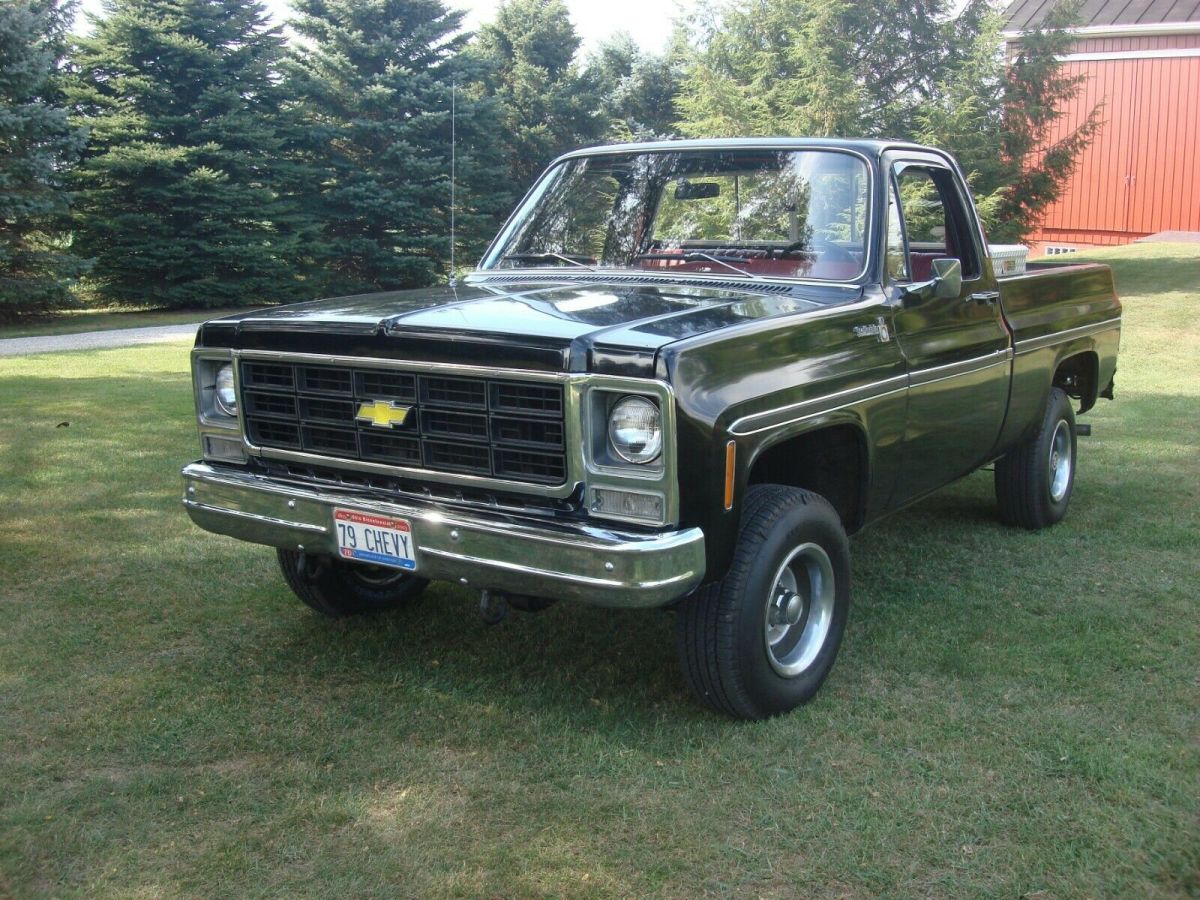 1979 Chevrolet Other Pickups