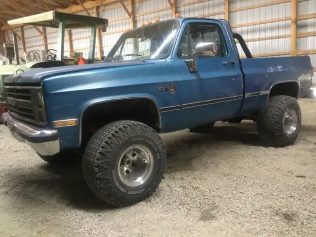 1979 Chevrolet C-10